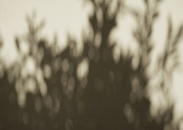 手工艺品真实照片，带有自然阴影叠加纹理，抽象中性极简户外墙面图片下载