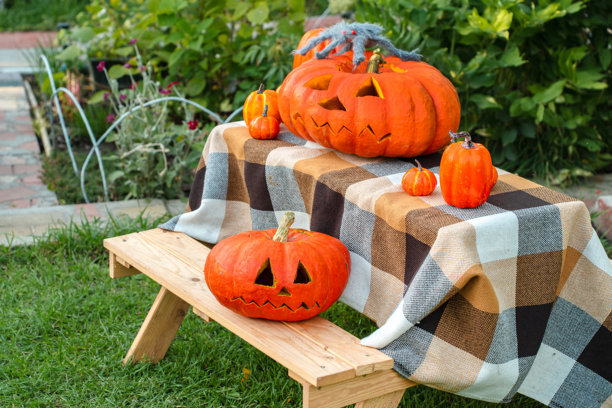 万圣节庭院中的雕刻眼睛的南瓜灯，真实照片图片下载
