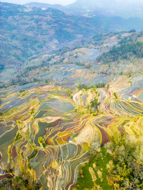 云南元阳的梯田航拍照片图片下载