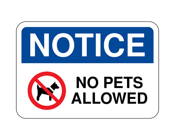 禁止携带宠物标志，禁令通知，清洁区域指示 高质量库存图片图片下载