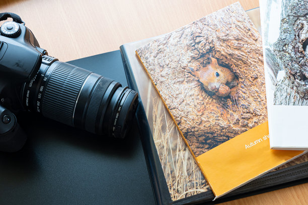 我的爱好是摄影和摄影书籍（旅行图片）图片下载