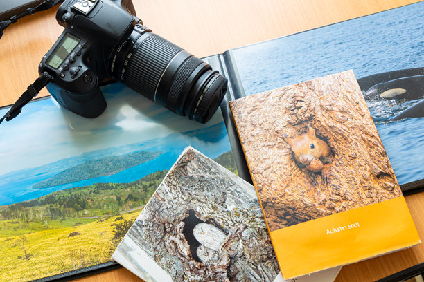 我的爱好是摄影和摄影书籍（旅行图片）图片下载