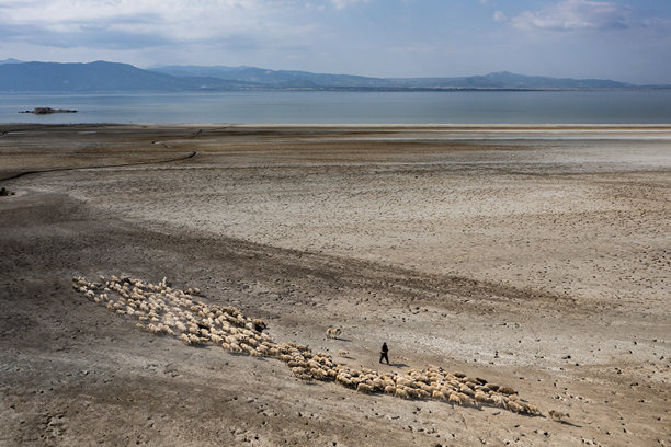 自然地下水源 裂开的干燥土壤和缩小的湖泊。自然中出现的模式，抽象形状，干旱和气候危机，水资源短缺，全球变暖和干燥的土壤。无人机照片图片下载