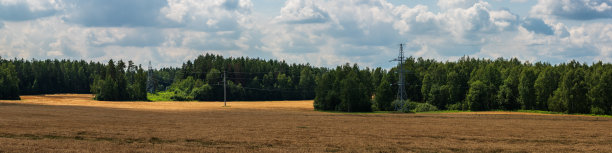 宽广的谷物田与森林和电力线在阴云密布的天空下。经典的农业风景。超宽屏全景照片。20:5格式的风景侧视图。图片下载