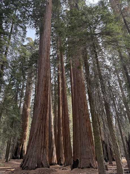 美国城市和照片图片下载