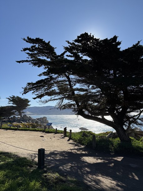 美国城市和照片图片下载