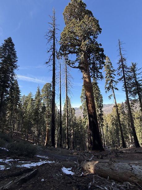 美国城市和照片图片下载