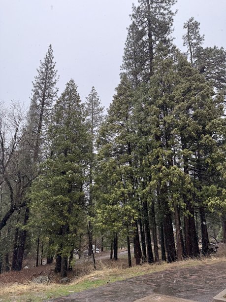 美国城市和照片图片下载