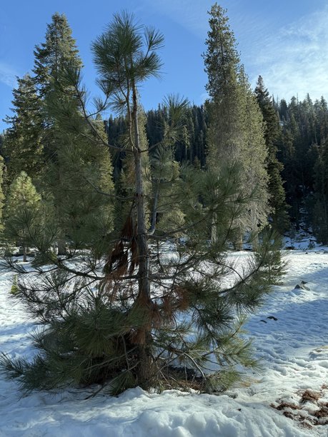 美国城市和照片图片下载