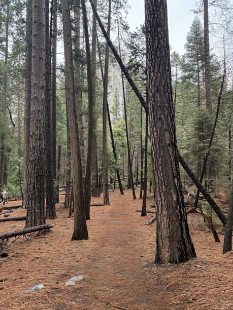 美国城市和照片图片下载