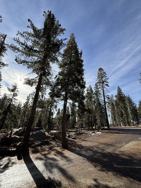 美国城市与照片图片下载