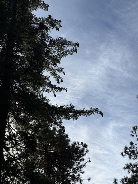 美国城市和照片图片下载