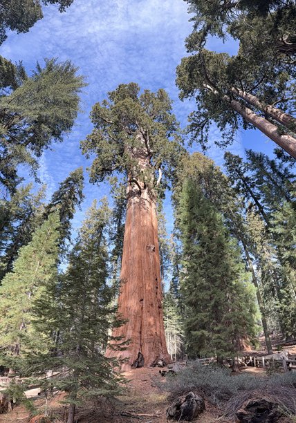 美国城市和照片图片下载