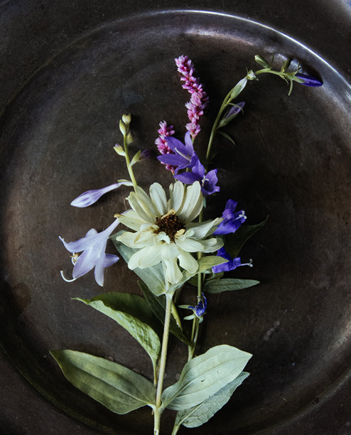 复古风格静物画图片下载