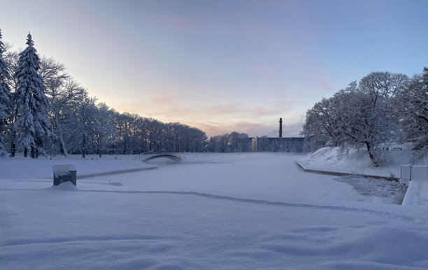 宁静的冬季风景照片捕捉了黄昏或黎明时分被雪覆盖的公园。图片下载