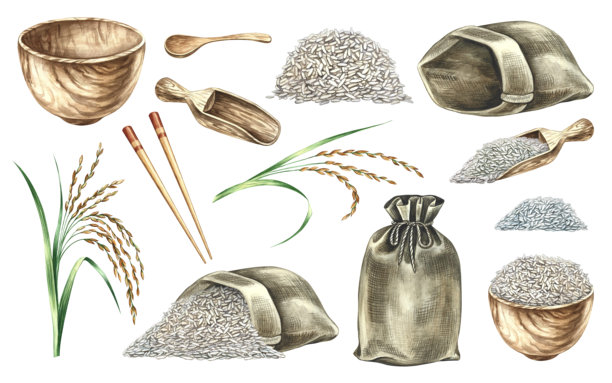 一组关于大米的图片。手绘水彩插图。包含麻袋、木制碗和米粒。各个元素彼此分开。适用于菜单、食谱、烹饪书籍、包装和标签。图片下载