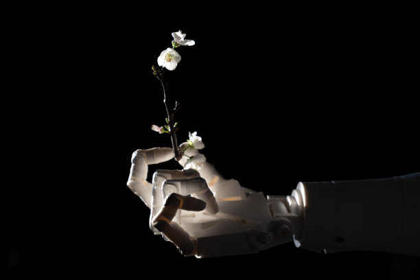 机械手在黑色背景上握着植物的照片图片下载