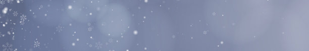 飘落的雪花，雪的叠加图像库存照片。逼真的冬季叠加效果。雪花。降雪。圣诞节。矢量图。图片下载