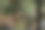 象征秋天和孤独的单根干枯草茎的极简主义照片，背景柔和模糊。图片下载