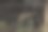 躺着的泰国水牛图片图片下载