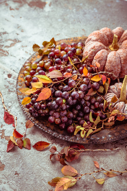 复古风格的感恩节南瓜和葡萄静物画图片下载