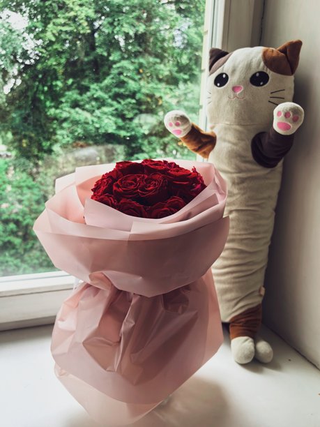 玫瑰，玫瑰纹理，花卉背景，美丽的玫瑰照片作为背景，酷炫的玫瑰，花瓣，花卉图片下载