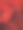 玫瑰，玫瑰纹理，花卉背景，美丽的玫瑰照片作为背景，酷炫的玫瑰，花瓣，花卉图片下载