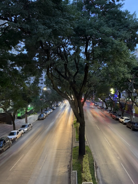 贝洛哈里藏特大街的傍晚。长时间曝光的照片，从中央花坛步道的顶部拍摄，旁边停着汽车。中央花坛中有大树。图片下载