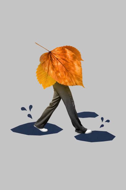 草图设计趋势艺术海报，3D照片拼贴，展示人类腿部穿着鞋子走在秋季雨天的落叶上。图片下载