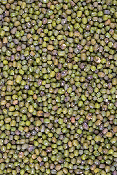 绿豆或绿豆种子的特写俯视背景，细节清晰的绿豆照片。图片下载