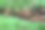 各种小蘑菇从潮湿的苔藓和老木头上生长，形成了一个森林地面的童话微观世界。这张照片完美地捕捉了秋季森林和野生动物的氛围。图片下载