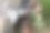 一张特写镜头，展示了一种不寻常的白色真菌或粘菌在森林中腐烂树木上生长。这张微距照片揭示了森林生命隐秘世界的独特细节，突显了自然的分解与更新过程。图片下载