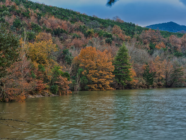 宁静的湖泊与生机勃勃的秋季森林 - 一张长时间曝光的照片，展现了一个平静的湖泊，湖面微波荡漾，四周环绕着秋季丰富多彩的树叶的森林。图片下载