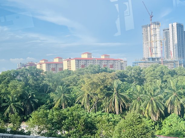 绿色公园风景照片图片下载