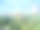 绿色公园风景照片图片下载