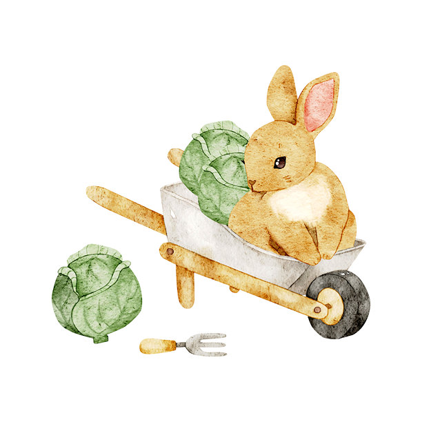 有趣的小兔子坐在花园的手推车里，旁边有卷心菜。水彩风格的可爱兔子剪贴画。非常适合儿童装饰、婴儿洗礼、育儿海报、文具、秋季设计、贴纸和计划本。图片下载