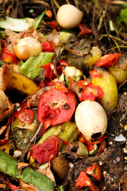 有机食品垃圾被添加到堆肥堆中的竖直图像。照片中以红色番茄和绿色残渣为焦点，强有力地象征着可持续性和垃圾回收。图片下载