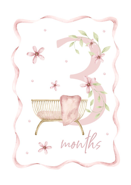 这是一个女孩。水彩手绘的每月数字卡片，配有婴儿床，粉色花朵和波浪丝带。三个月。婴儿每月里程碑卡片。新生儿照片拍摄用的每月卡片。图片下载