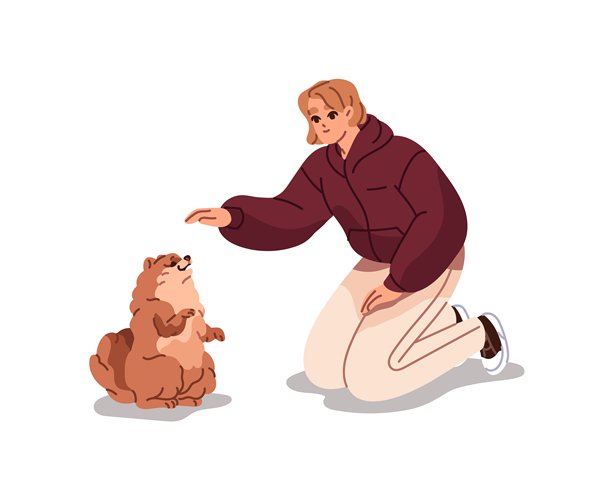 主人教斯皮茨犬听从“兔子”的指令。快乐的狗狗站立在后腿上。训练师正在对博美犬进行服从训练。女孩在和小狗玩耍。白色背景上的扁平孤立矢量插图。图片下载