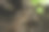 从空心树干内部向上看，这张抽象的自然照片捕捉了粗糙的树皮纹理和透过绿叶的过滤阳光。图片下载