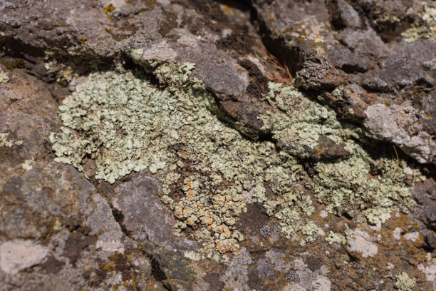 带有裂缝和苔藓的脏摇滚工作模式背景。湿润石墙纹理的特写。图片下载