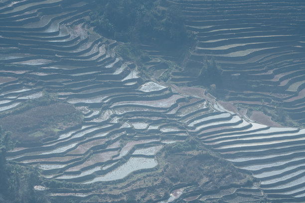 云南省坝达风景区的元阳梯田日落特写图片图片下载