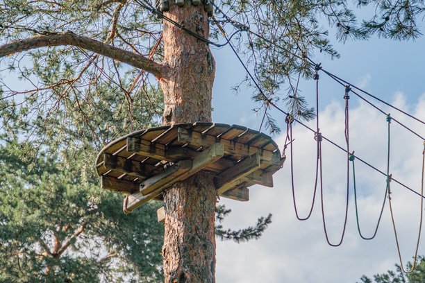 现代儿童游乐场位于林区，设有围绕树木建造的木质攀爬结构，配有绳索和横向木板供攀爬使用。该结构的照片呈现得非常真实。图片下载