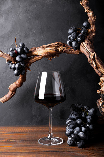 一杯红酒，搭配古老木材和葡萄的元素。简约的构图，黑色背景适合产品品牌、身份和包装。竖版照片图片下载