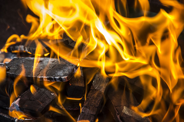 火。篝火。燃烧的火焰。火焰的特写照片。在火上烹饪。生火。图片下载