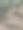哥伦比亚伊巴格的植物园中由树根制成的楼梯，2025年4月15日 - 图片04图片下载