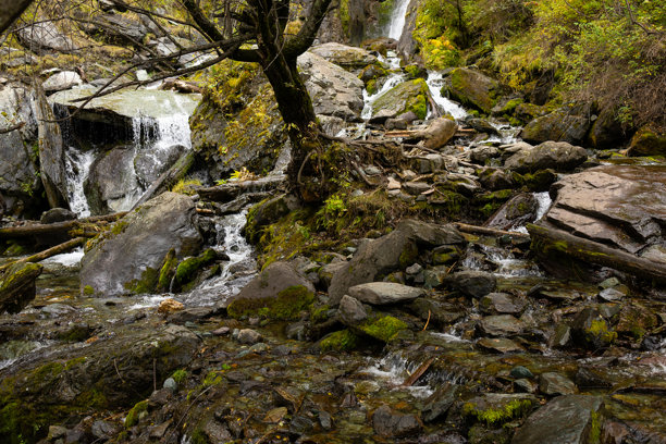 阿尔泰山瀑布流过被郁郁葱葱的植被环绕的大石头。图片展现了宁静环境中自然之美。图片下载