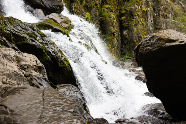 阿尔泰山瀑布流过被郁郁葱葱的植被环绕的大石头。图片展现了宁静环境中自然之美。图片下载