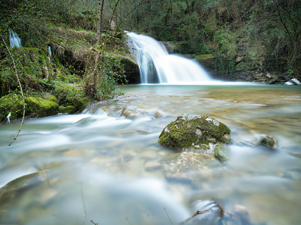 平静的森林瀑布，水流平滑 - 一张长时间曝光的美丽瀑布照片，瀑布倾泻入清澈的水池，四周环绕着郁郁葱葱的绿叶和覆盖着苔藓的岩石。图片下载