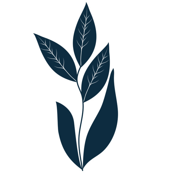 优雅的植物插图，完美适用于精致的品牌形象和宁静的极简设计项目图片下载